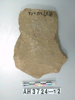 藏品(打製石斧)的圖片